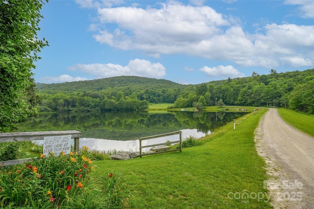 55 E Lake Dr, Fairview, NC 28730 - photo 40