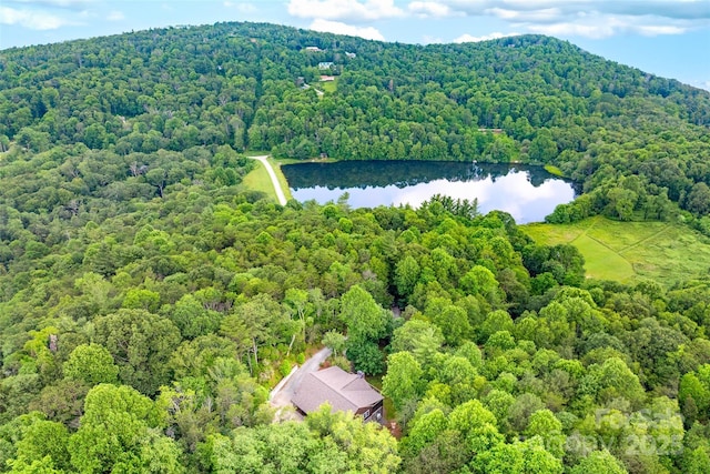 55 E Lake Dr, Fairview, NC 28730 - photo 9
