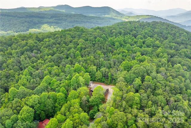 55 E Lake Dr, Fairview, NC 28730 - photo 13