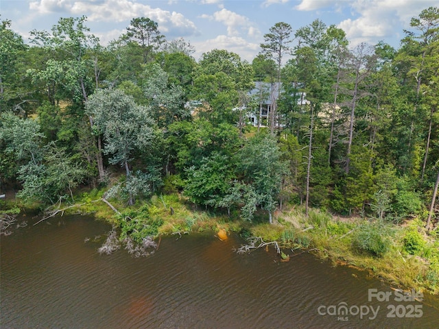 537 Riddle Mill Rd, Clover, SC 29710 - photo 48