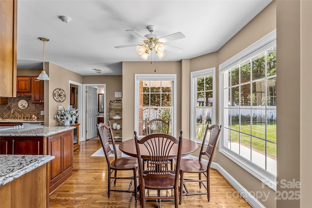 1236 James Farm Rd, Hickory, NC 28602 - dining room with plenty of natural light, light wood-style floors, and a ceiling fan