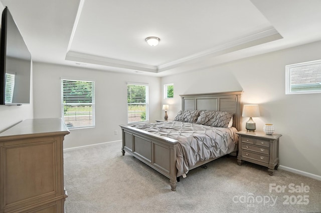11246 Bartrams Way, Charlotte, NC 28278 - bedroom with a raised ceiling, light carpet, and ornamental molding