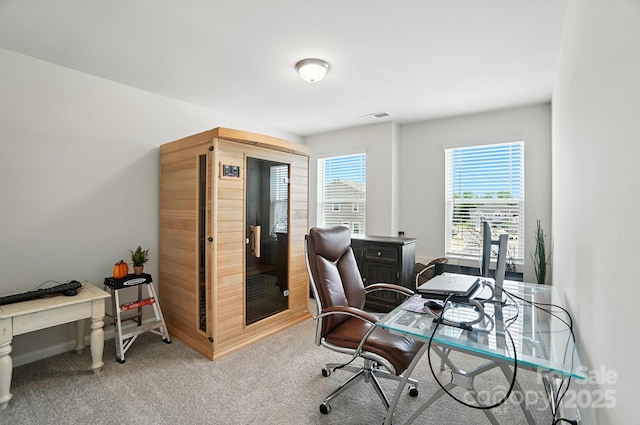 11246 Bartrams Way, Charlotte, NC 28278 - office area with carpet flooring and baseboards