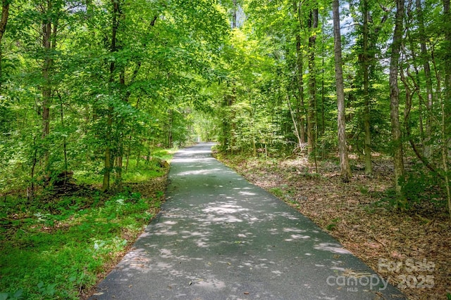 6811 Kluttz Rd, Concord, NC 28025 - view of road featuring a forest view