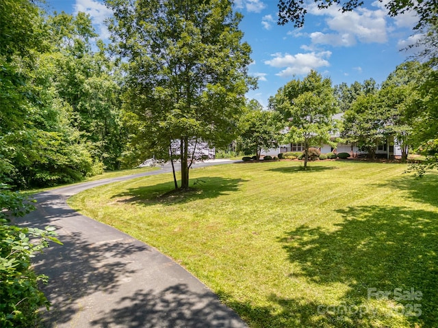 6811 Kluttz Rd, Concord, NC 28025 - view of grassy yard