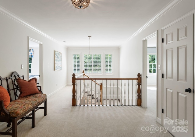 2324 Kingsmill Ter, Charlotte, NC 28270 - hallway featuring ornamental molding, carpet flooring, and an upstairs landing