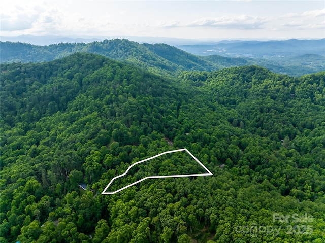 9999 White Oak Gap Rd, Asheville, NC 28803 - photo 1