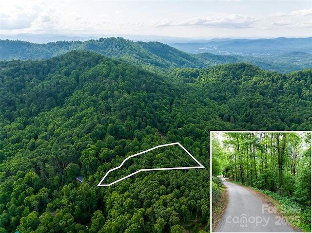 9999 White Oak Gap Rd, Asheville, NC 28803 - photo 2