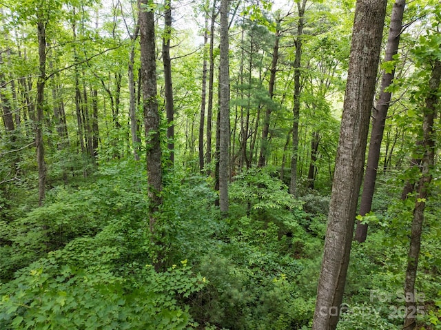 9999 White Oak Gap Rd, Asheville, NC 28803 - photo 4