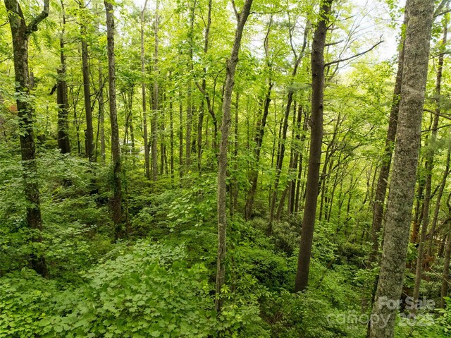 9999 White Oak Gap Rd, Asheville, NC 28803 - photo 5