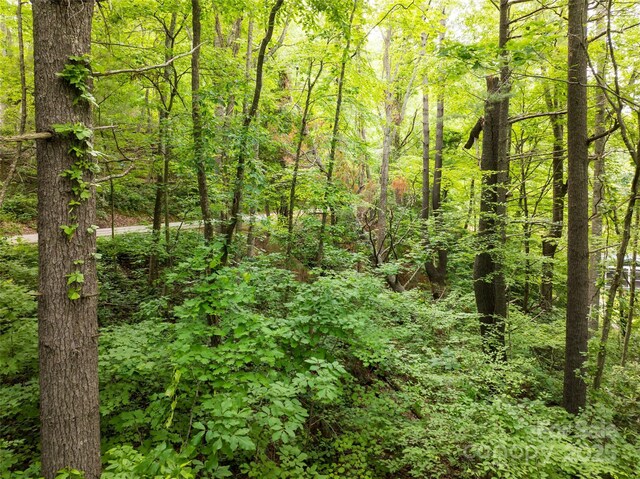 9999 White Oak Gap Rd, Asheville, NC 28803 - photo 7