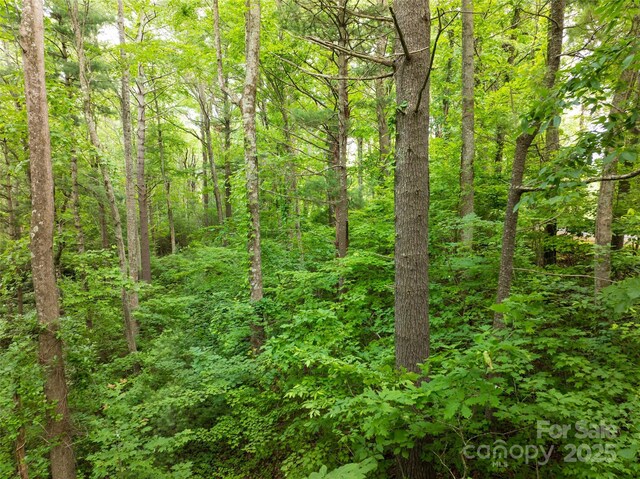 9999 White Oak Gap Rd, Asheville, NC 28803 - photo 9