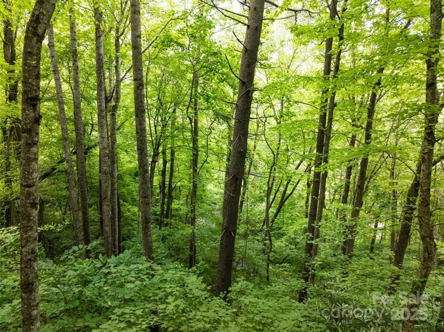 9999 White Oak Gap Rd, Asheville, NC 28803 - photo 10