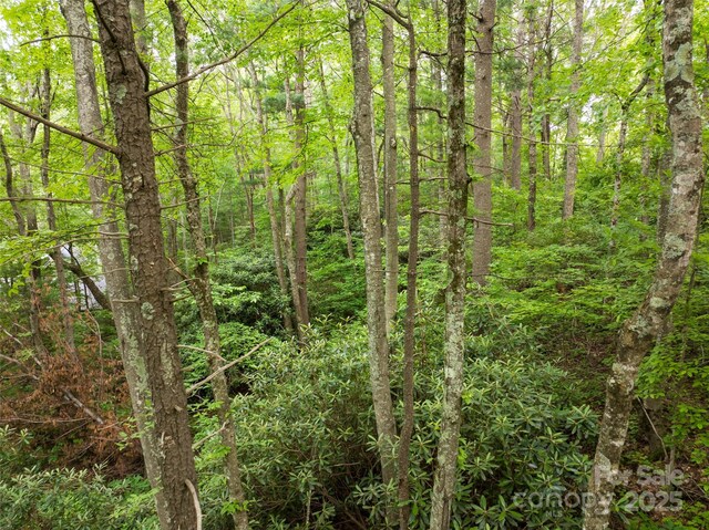 9999 White Oak Gap Rd, Asheville, NC 28803 - photo 11