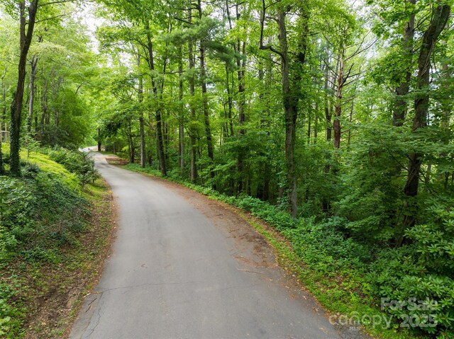 9999 White Oak Gap Rd, Asheville, NC 28803 - photo 12