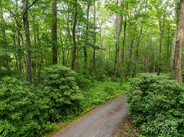 9999 White Oak Gap Rd, Asheville, NC 28803 - photo 13