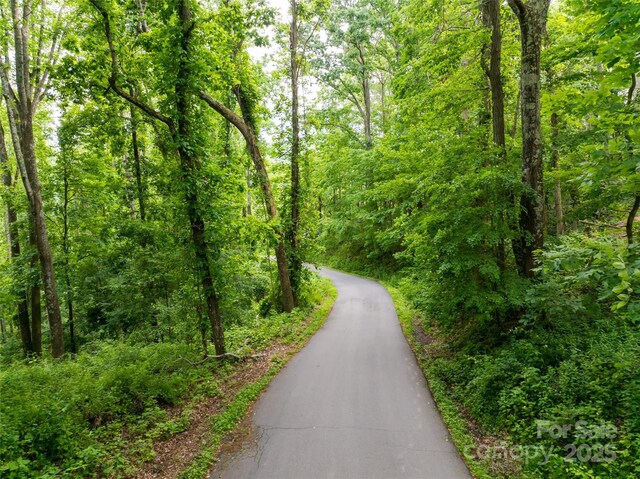9999 White Oak Gap Rd, Asheville, NC 28803 - photo 14