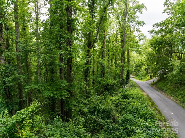 9999 White Oak Gap Rd, Asheville, NC 28803 - photo 15
