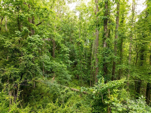 9999 White Oak Gap Rd, Asheville, NC 28803 - photo 16