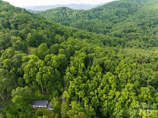 9999 White Oak Gap Rd, Asheville, NC 28803 - photo 17