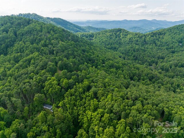 9999 White Oak Gap Rd, Asheville, NC 28803 - photo 18
