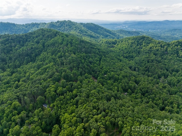 9999 White Oak Gap Rd, Asheville, NC 28803 - photo 19