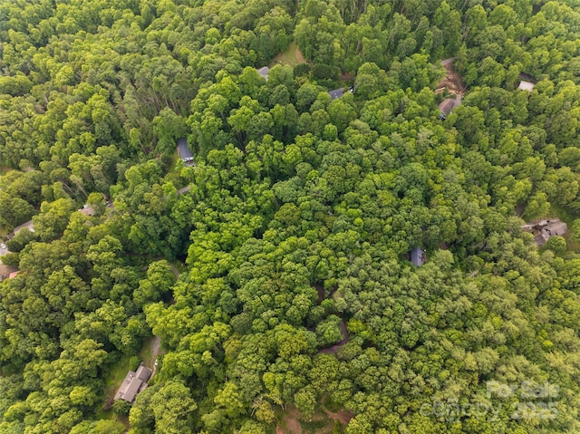 9999 White Oak Gap Rd, Asheville, NC 28803 - photo 20