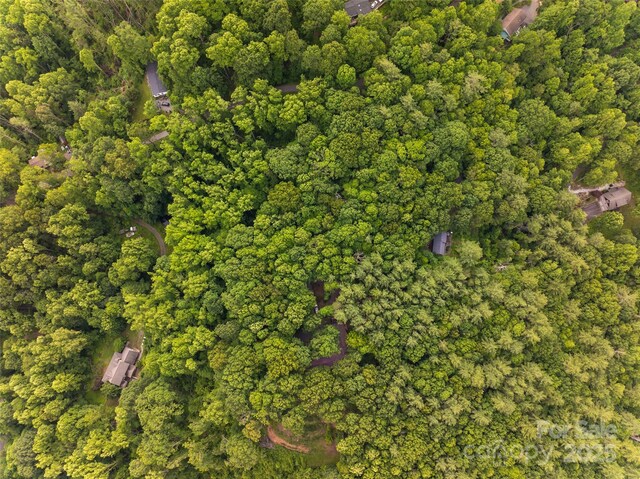 9999 White Oak Gap Rd, Asheville, NC 28803 - photo 21