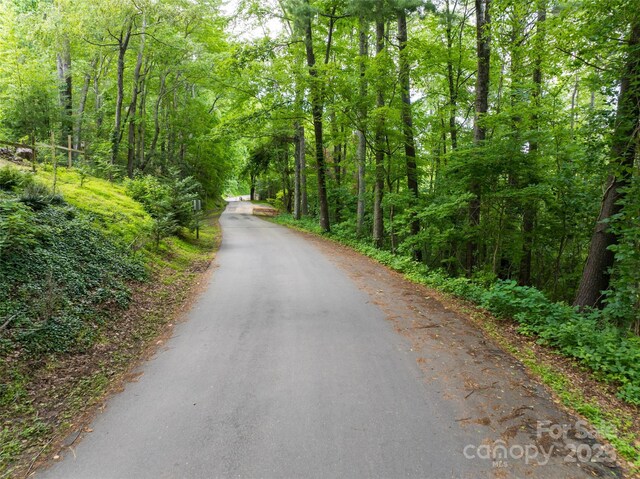 9999 White Oak Gap Rd, Asheville, NC 28803 - photo 22