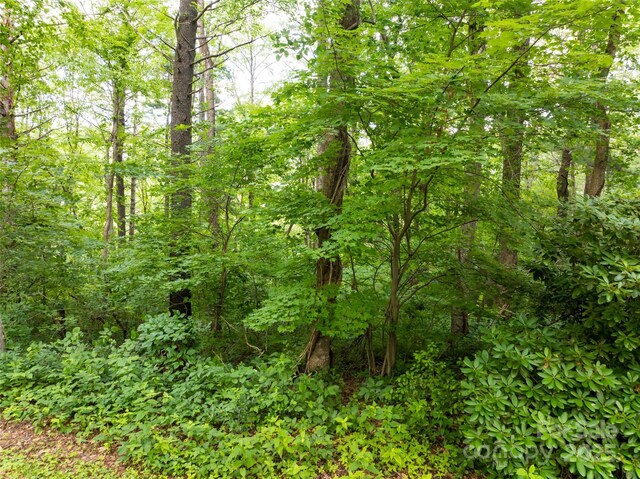 9999 White Oak Gap Rd, Asheville, NC 28803 - photo 23