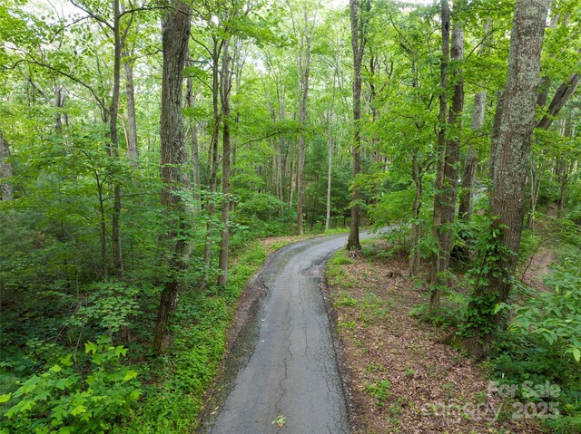9999 White Oak Gap Rd, Asheville, NC 28803 - photo 24