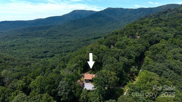 2045 Hogback Mountain Rd, Tryon, NC 28782 - aerial view of a heavily wooded area and a mountainous background