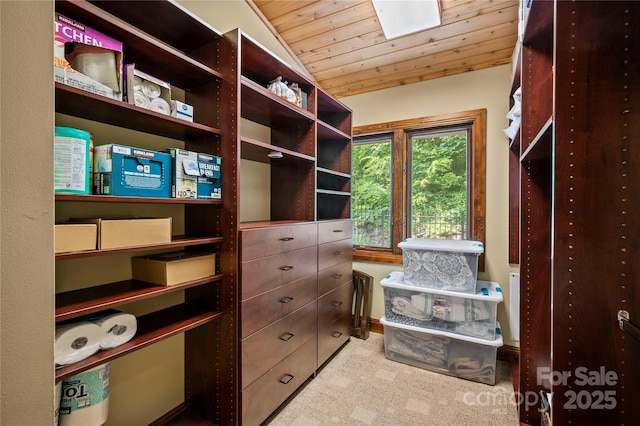2045 Hogback Mountain Rd, Tryon, NC 28782 - walk in closet with a skylight and carpet flooring