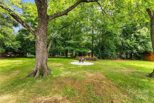 1426 Larkfield Ln, Charlotte, NC 28210 - view of grassy yard