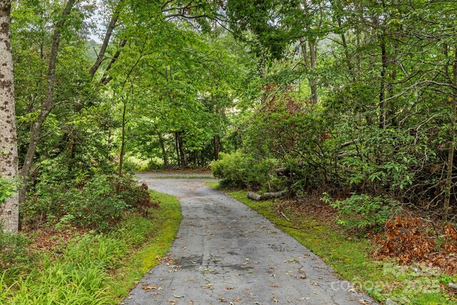 108 Deer Run Rd, Mills River, NC 28759 - view of street featuring a wooded view