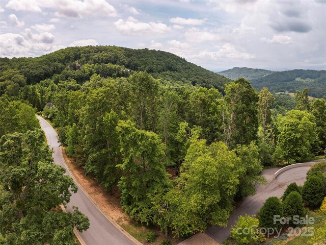 28 Windcliff Dr, Asheville, NC 28803 - photo 1