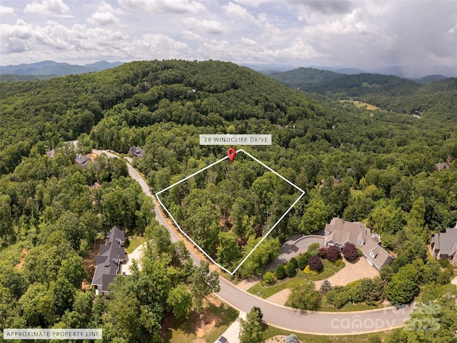 28 Windcliff Dr, Asheville, NC 28803 - photo 3