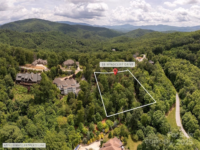 28 Windcliff Dr, Asheville, NC 28803 - photo 4