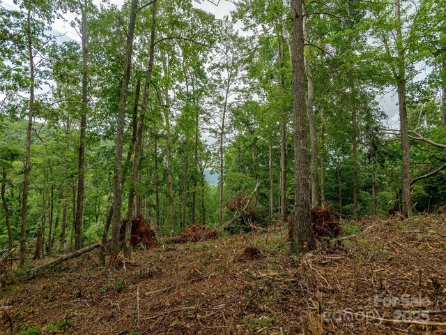 28 Windcliff Dr, Asheville, NC 28803 - photo 6