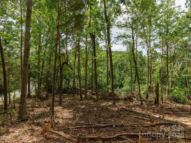 28 Windcliff Dr, Asheville, NC 28803 - photo 8