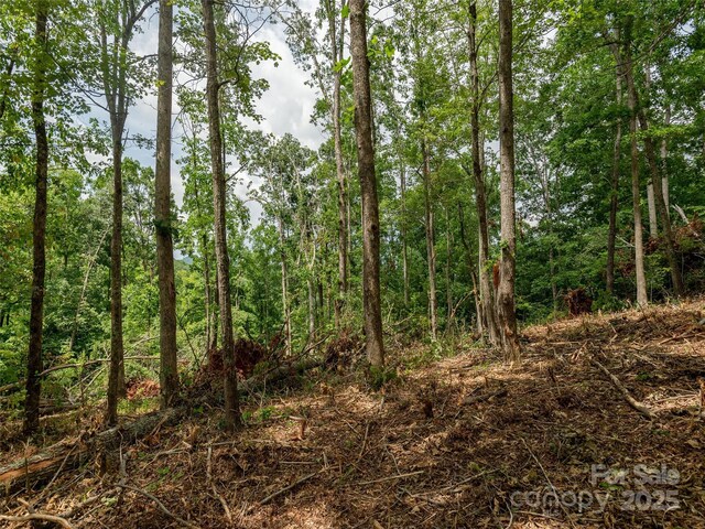 28 Windcliff Dr, Asheville, NC 28803 - photo 9