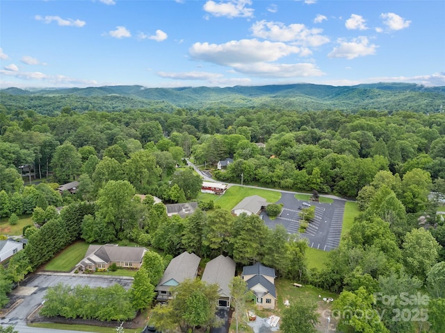 306 Gallimore Rd, Brevard, NC 28712 - photo 32