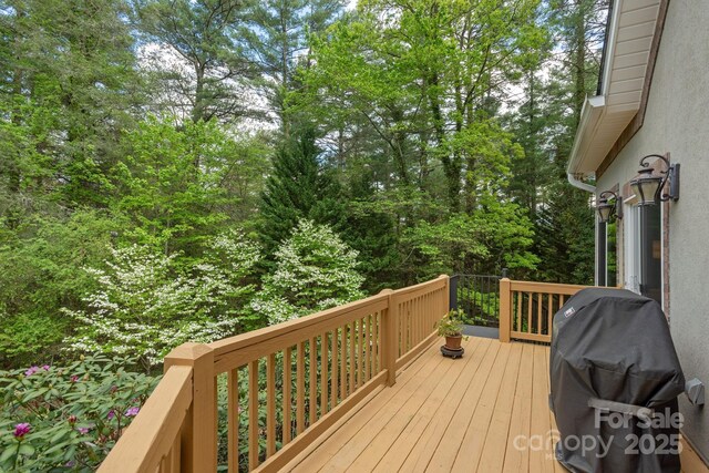 110AND140 Fox Chase Dr, Hendersonville, NC 28739 - photo 16
