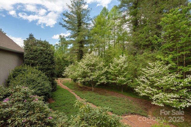 110AND140 Fox Chase Dr, Hendersonville, NC 28739 - photo 17