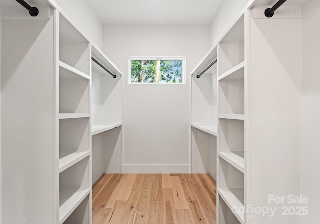 1622 Burtonwood Cir, Charlotte, NC 28212 - walk in closet with light wood finished floors