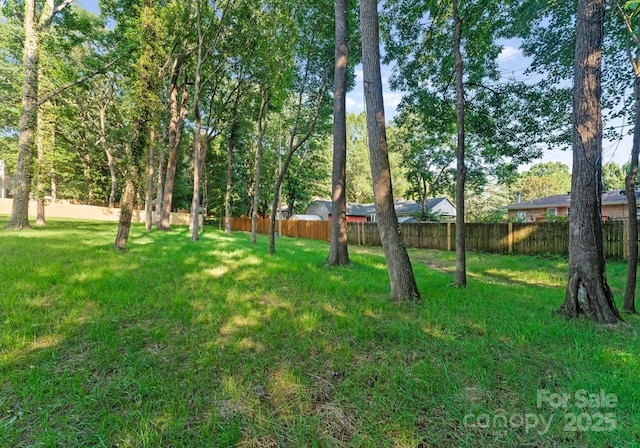 1622 Burtonwood Cir, Charlotte, NC 28212 - view of yard