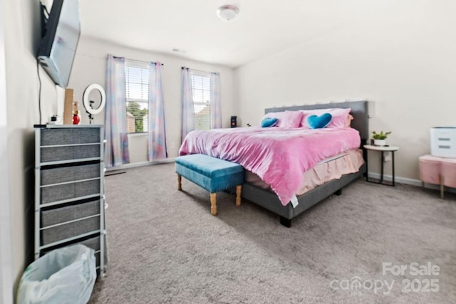 9025 Henry Thoreau Rd, Charlotte, NC 28214 - photo 29