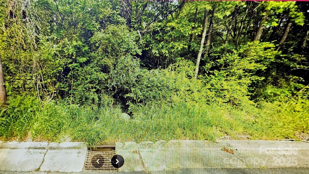 N/A Moss Springs Rd Unit 5, Albemarle, NC 28001