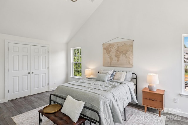 1986 Trace Creek Dr, Waxhaw, NC 28173 - bedroom featuring wood finished floors, high vaulted ceiling, and a closet