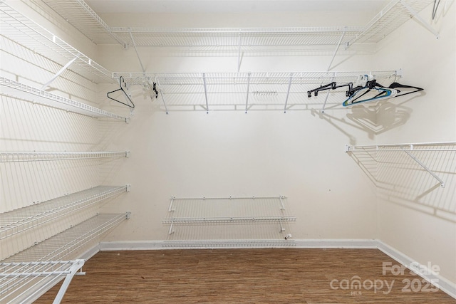 2001 Enderbury Dr, Indian Trail, NC 28079 - spacious closet with wood finished floors